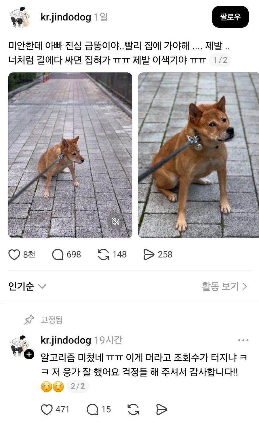 산책 중 급똥 터진 견주.
