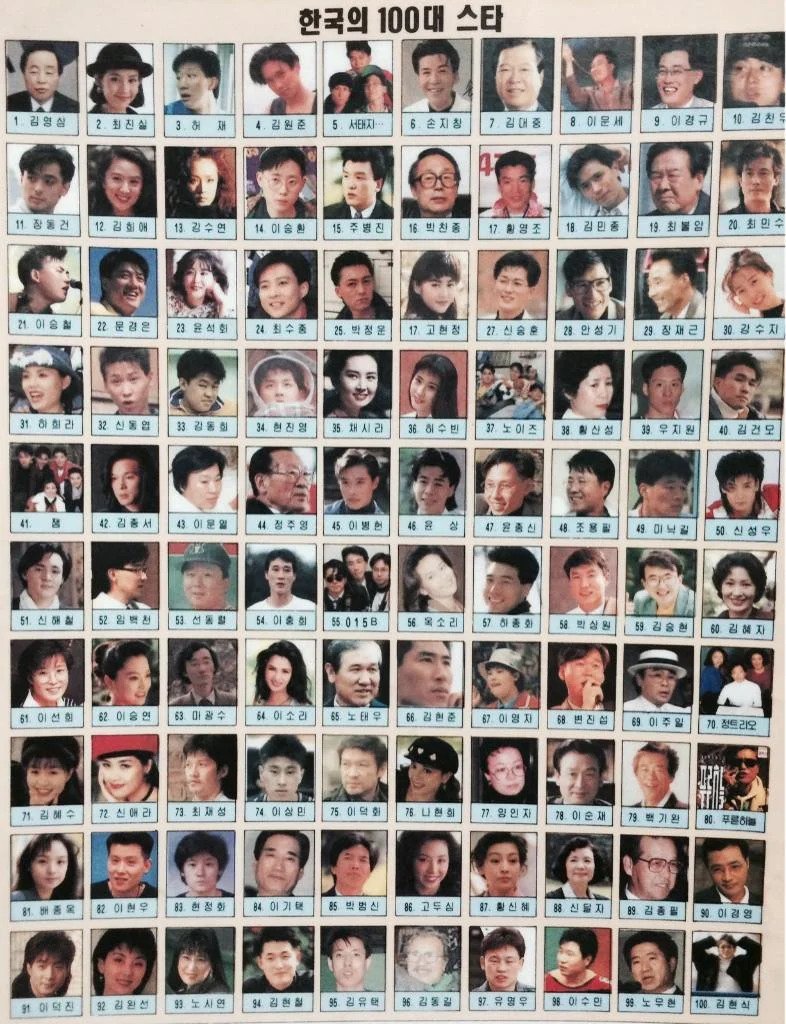 1993년 대한민국을 대표하는 스타 100명