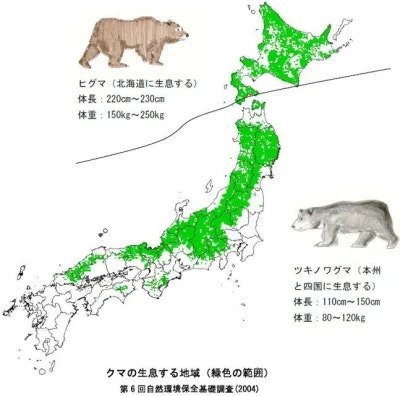 일본 곰 피해 의외의 사실