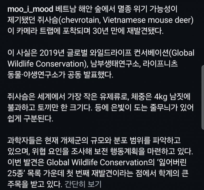30년만에 돌아온 쥐사슴