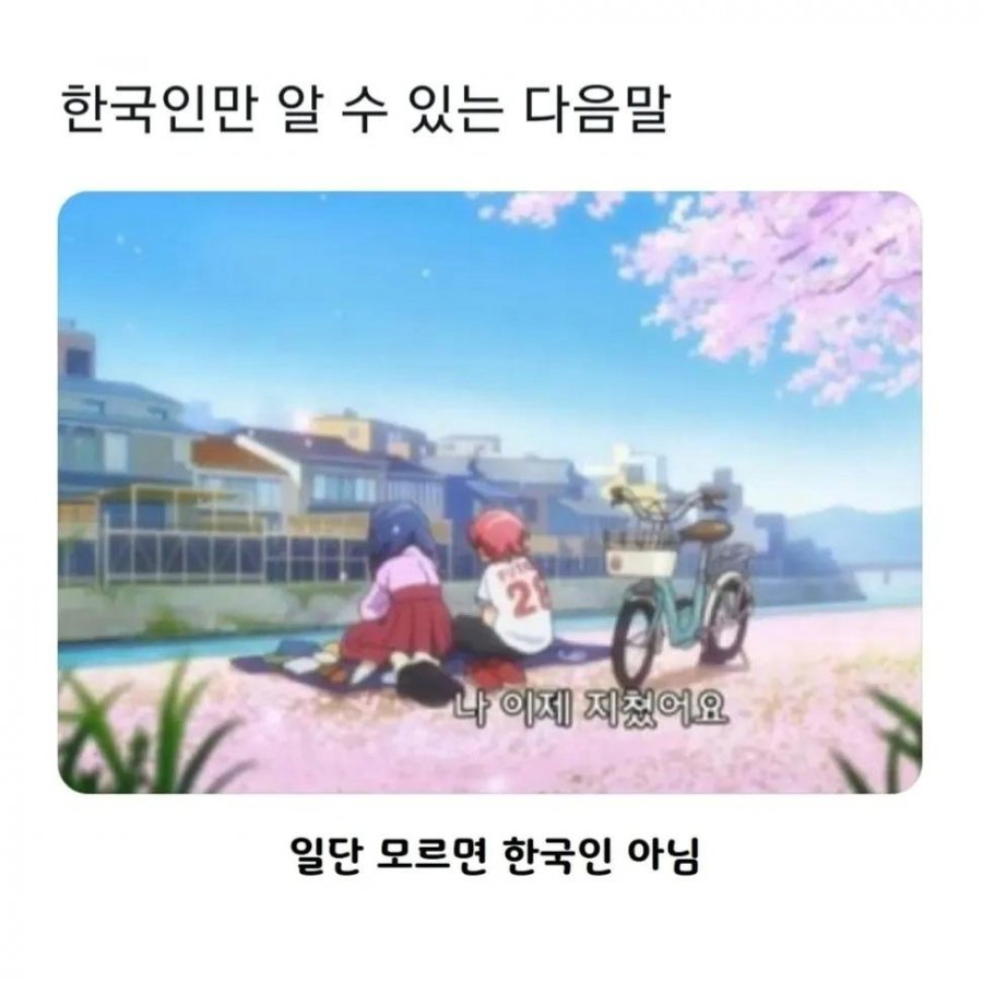 한국인만 알 수 있다는 다음말