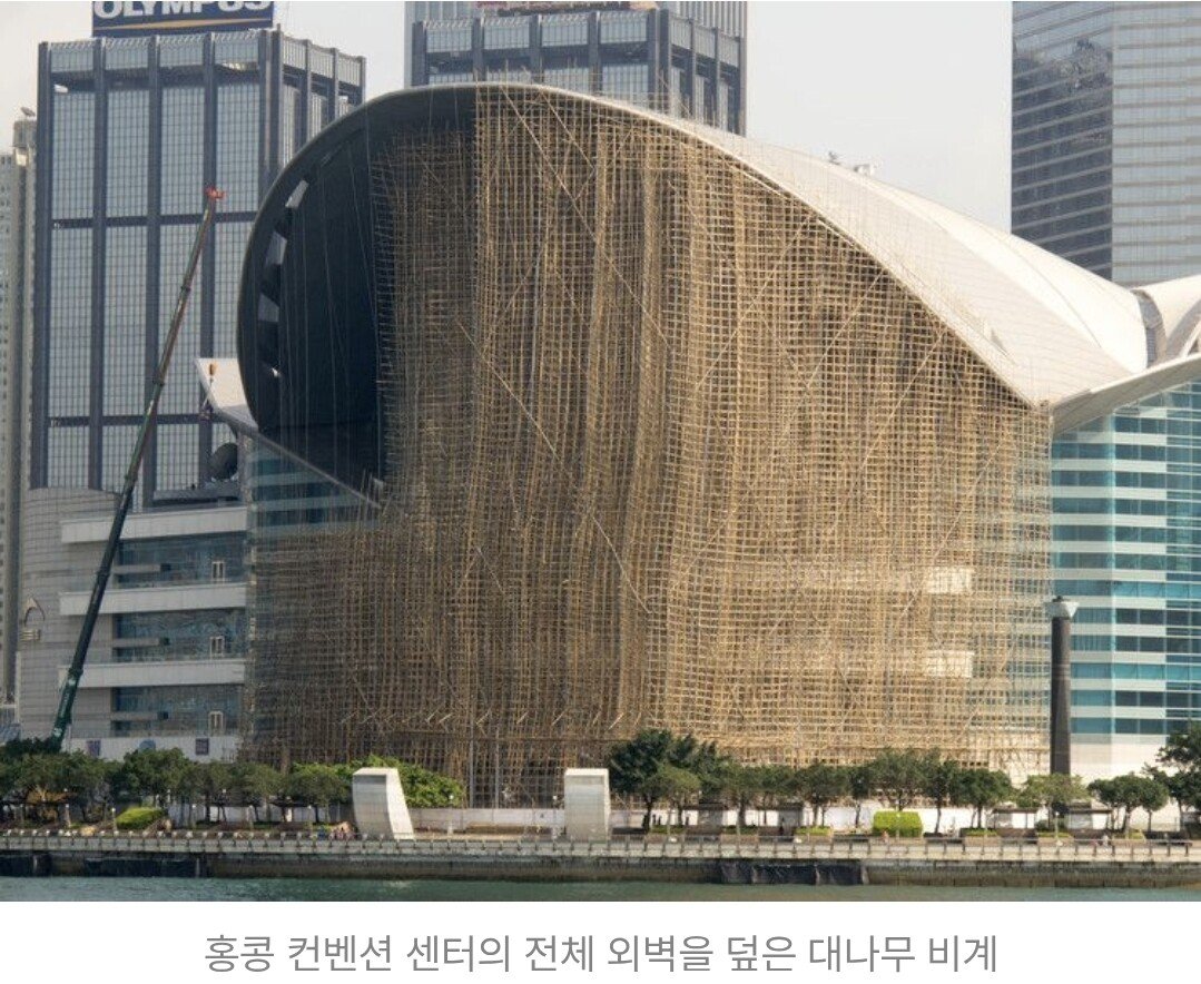대형화재 터진 홍콩 대나무 비계 평소 모습