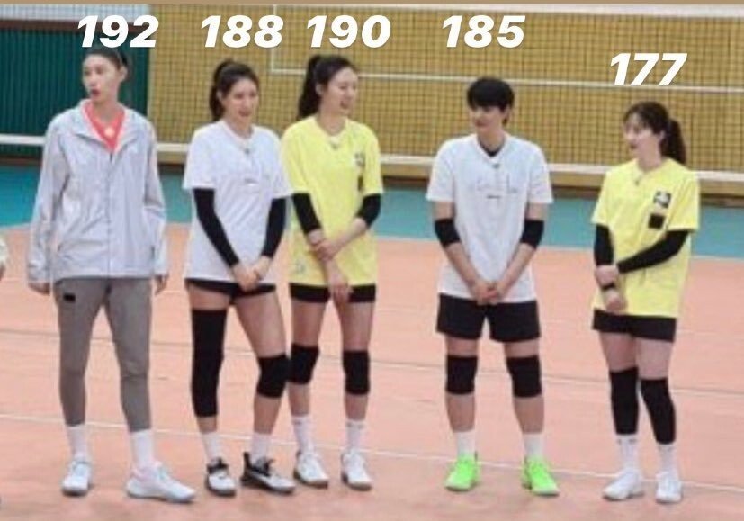 키 190cm 양효진과 키 207cm 서장훈.jpg