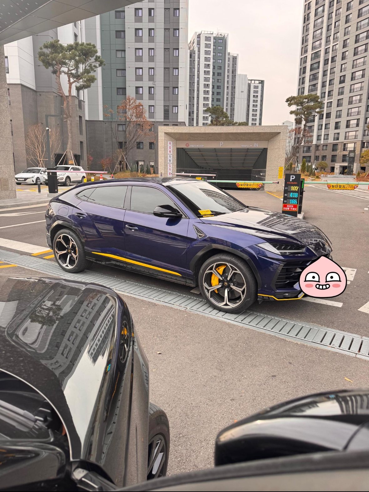 아파트 입차 거부 당한 람보르기니