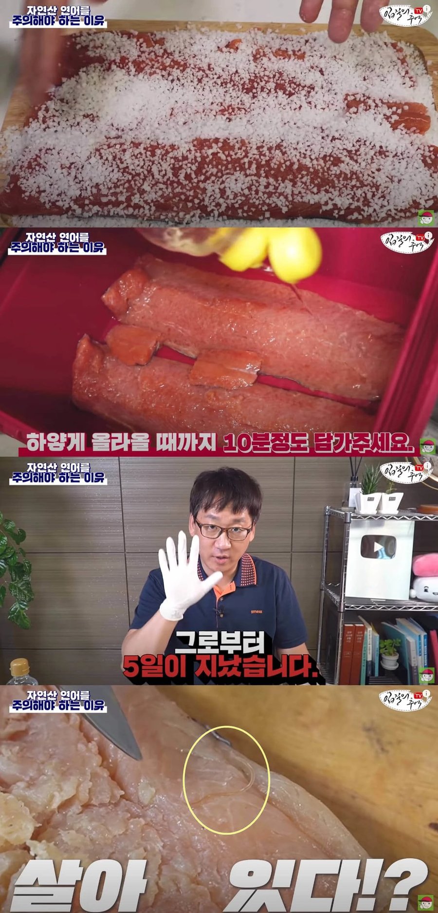 자연산으로는 절대로 먹으면 안되는 음식