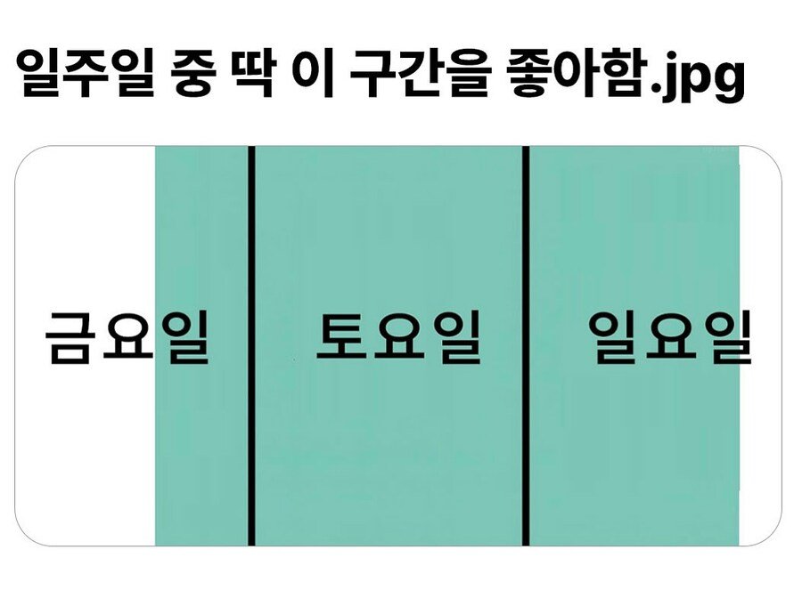 일주일 중 딱 이 구간을 좋아함.jpg