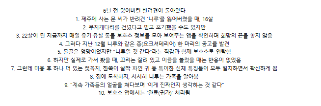 6년 전 잃어버린 반려견이 돌아왔다