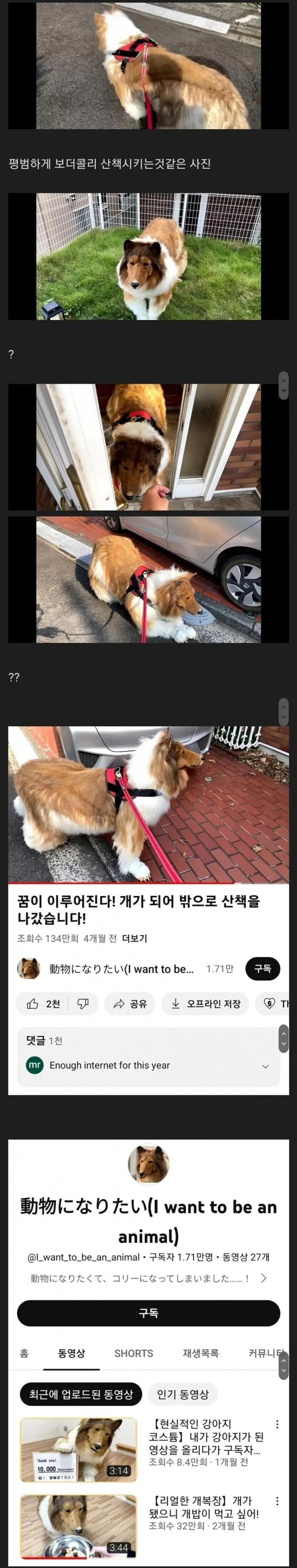 어떤 일본 유튜버의 실체