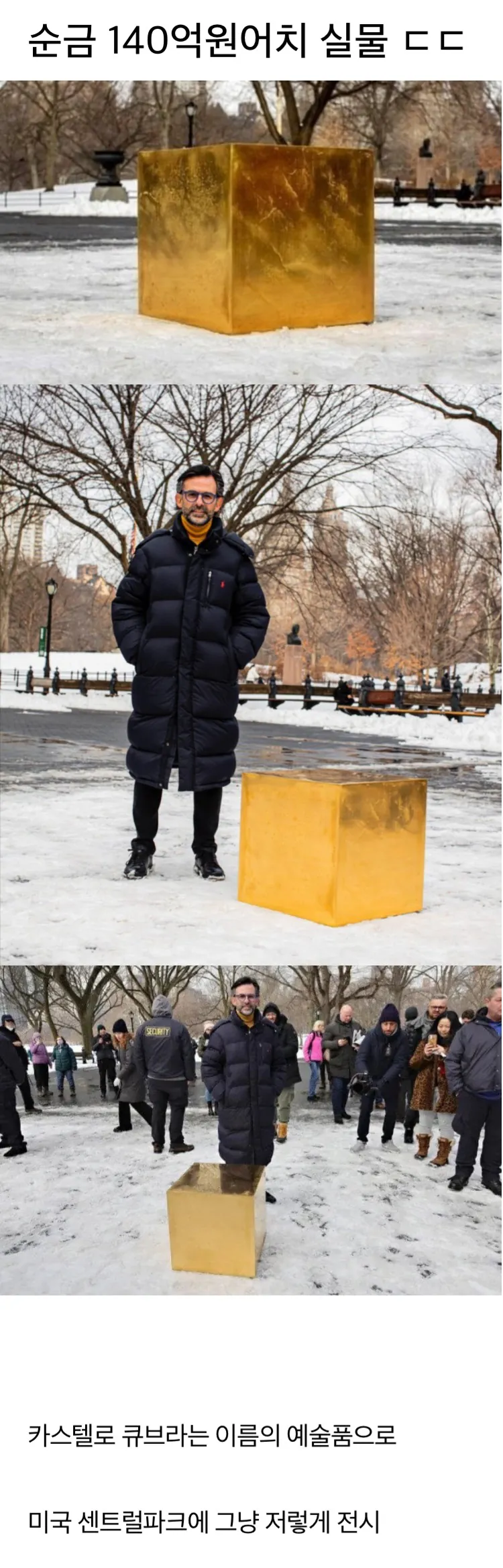 순금 140억원어치 실물 ㄷㄷ