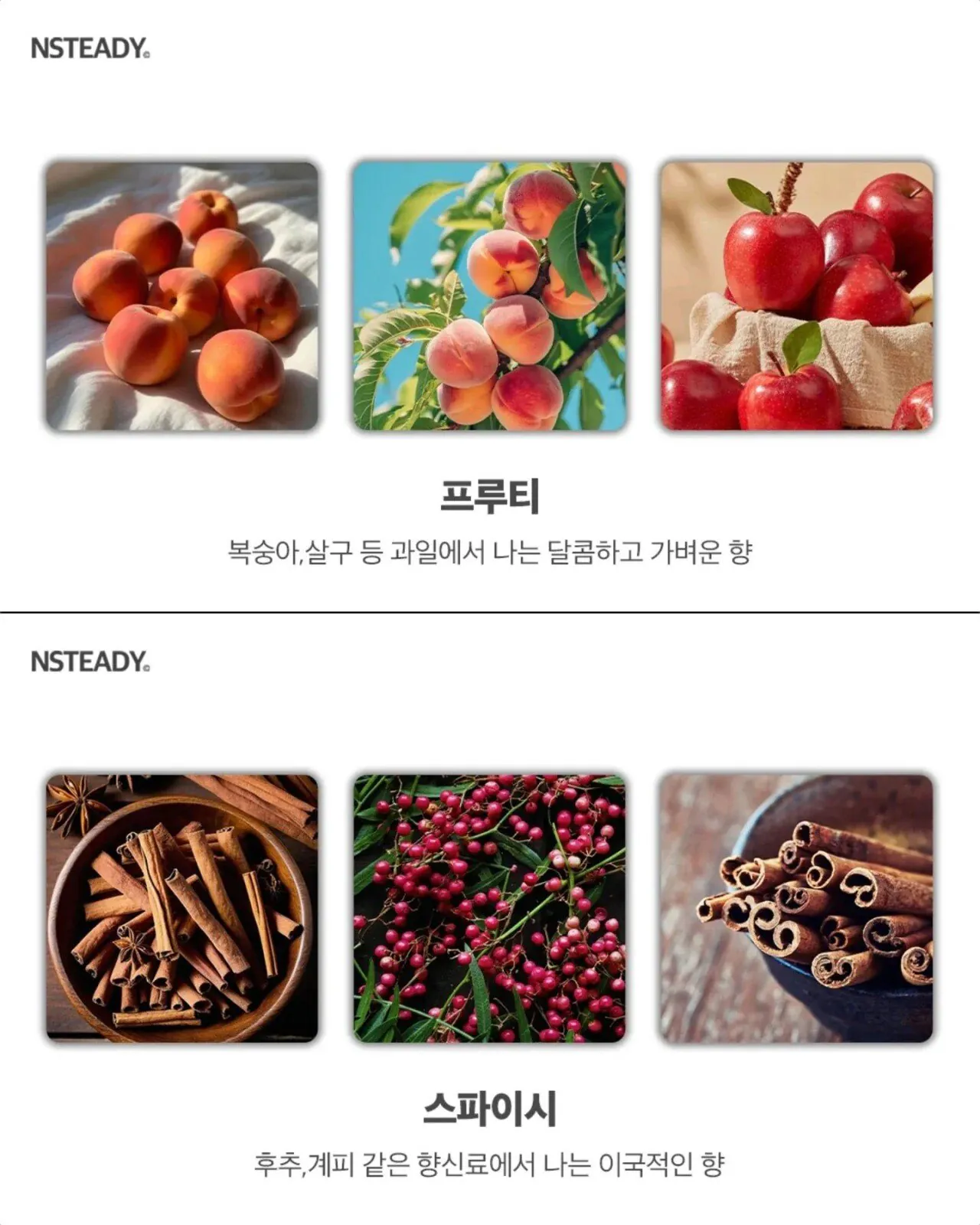 알아두면 유용한 향수 향 종류 모음