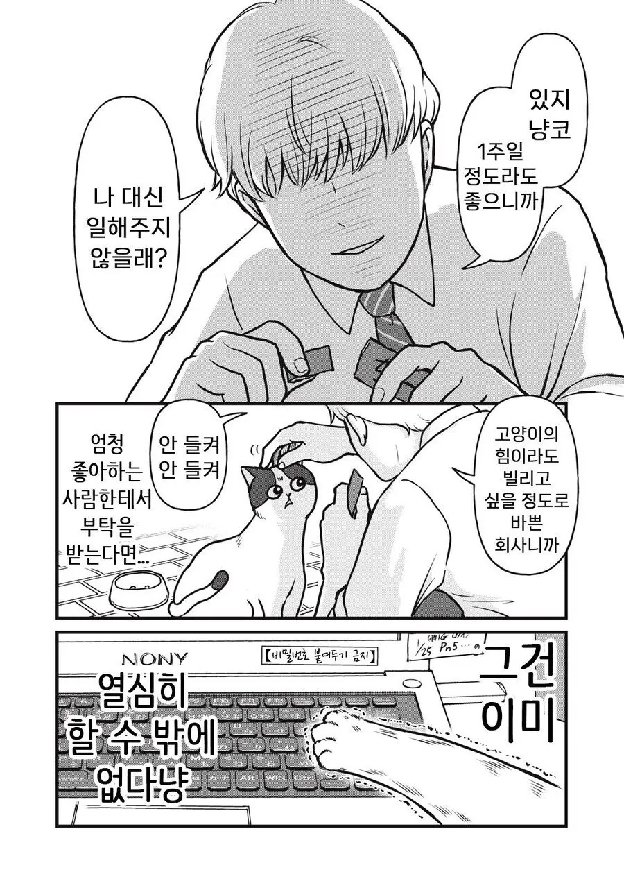 회사원 요시자와