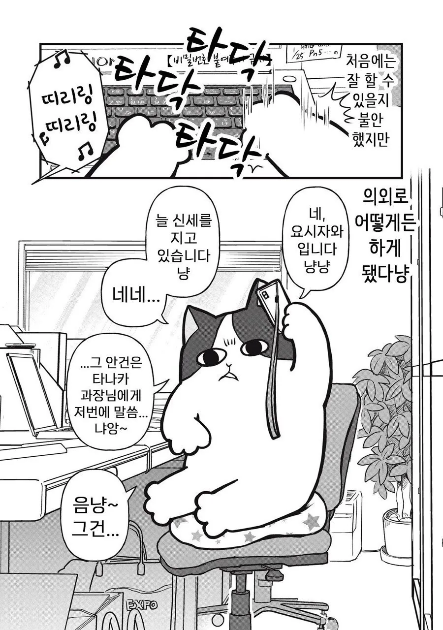 회사원 요시자와