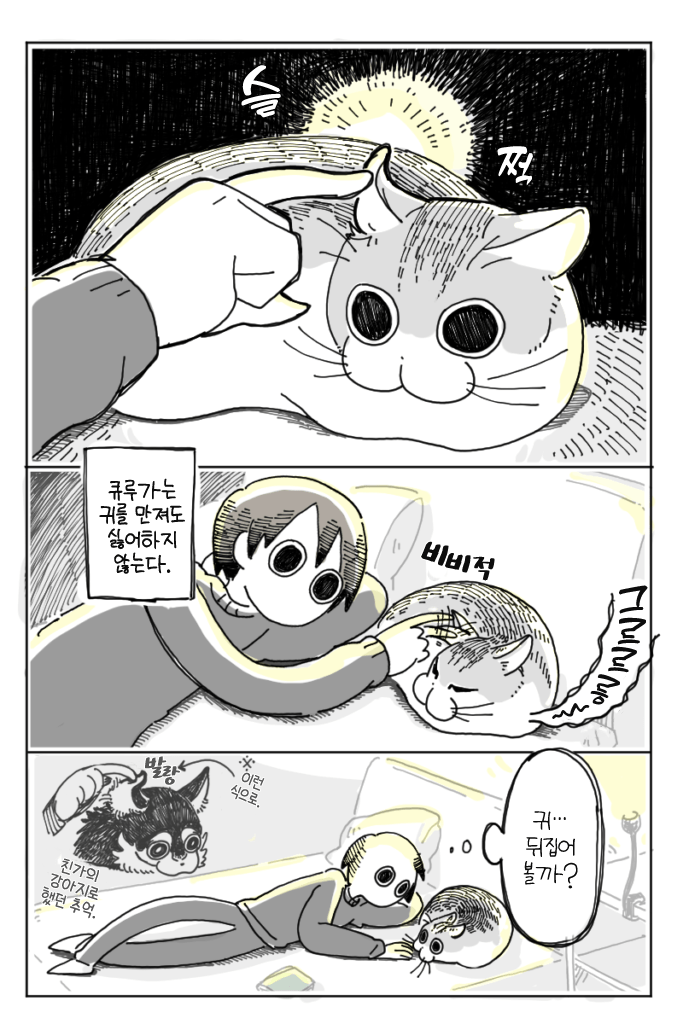 고양이 키우는 집사들은 다 해보는거