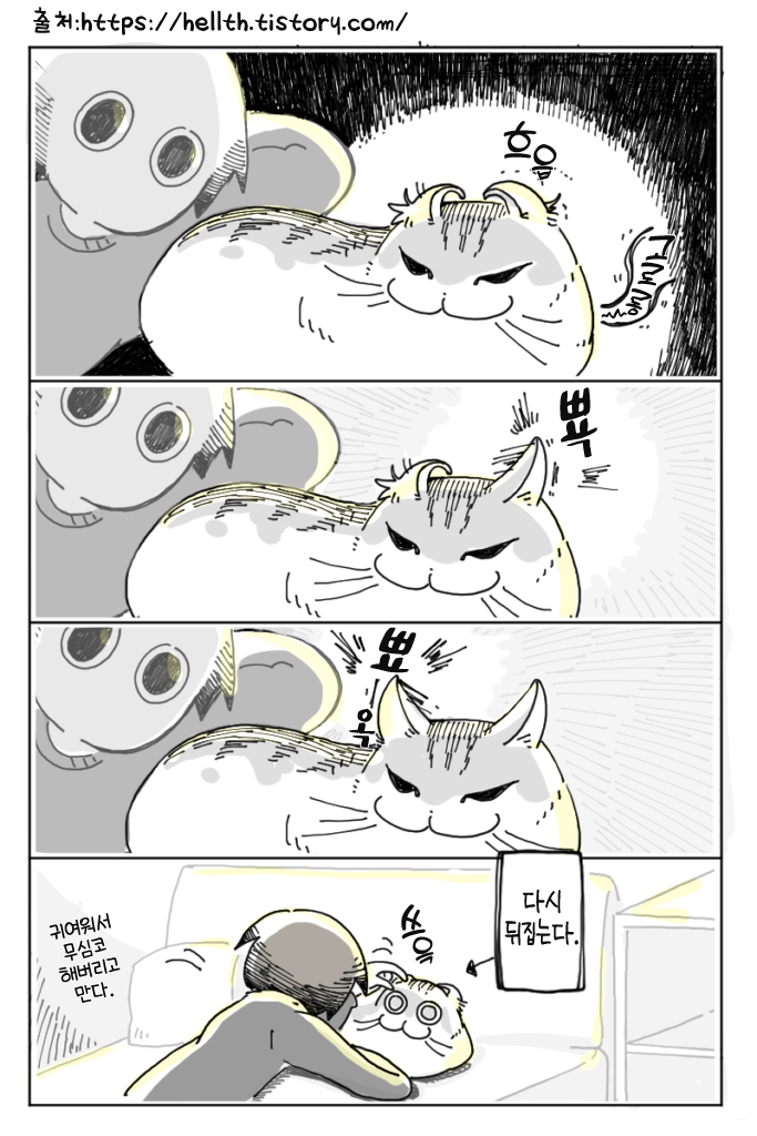고양이 키우는 집사들은 다 해보는거