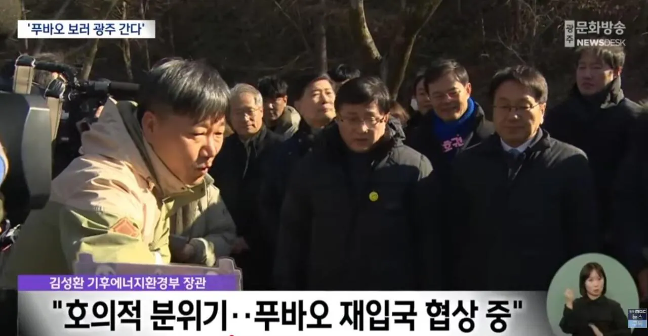 푸바오 광주로 꼭 데리고 올것