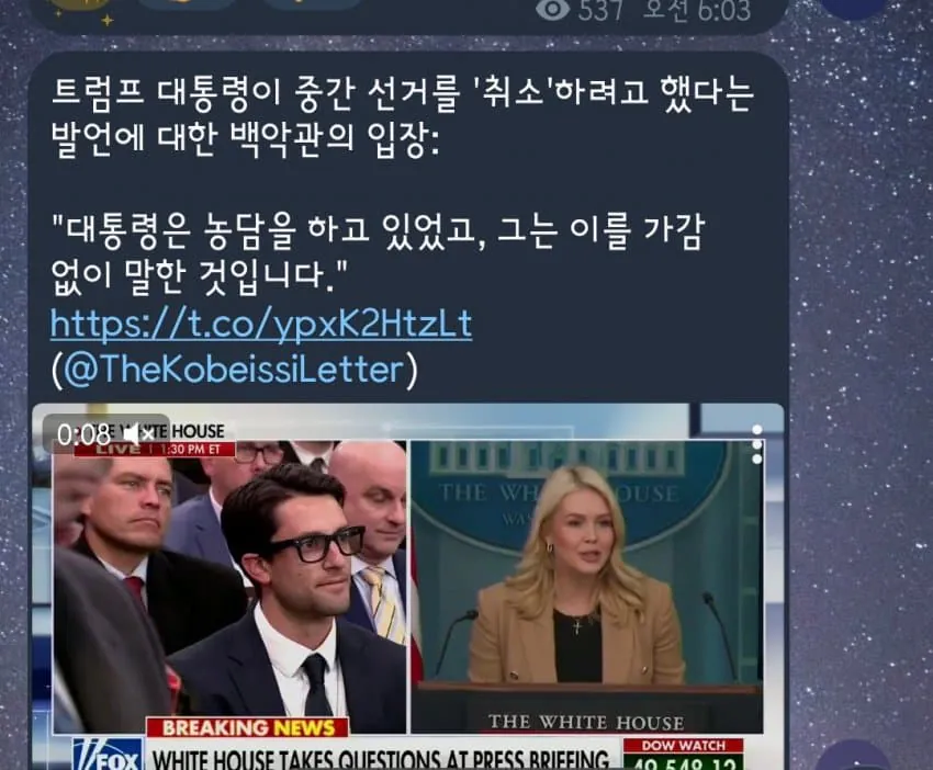 트럼프 : 중간 선거 안하면 안될까?