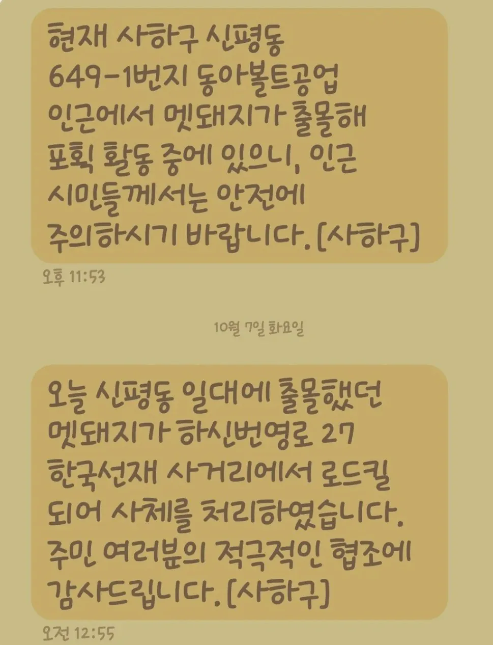 부산사람들의 따뜻함