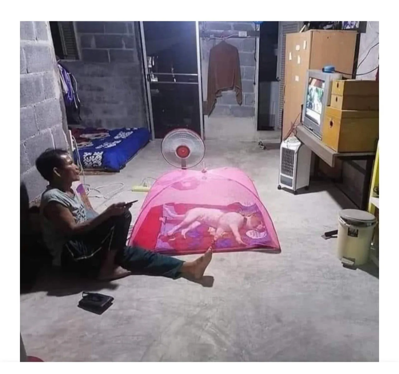 너만안 물리면 돼