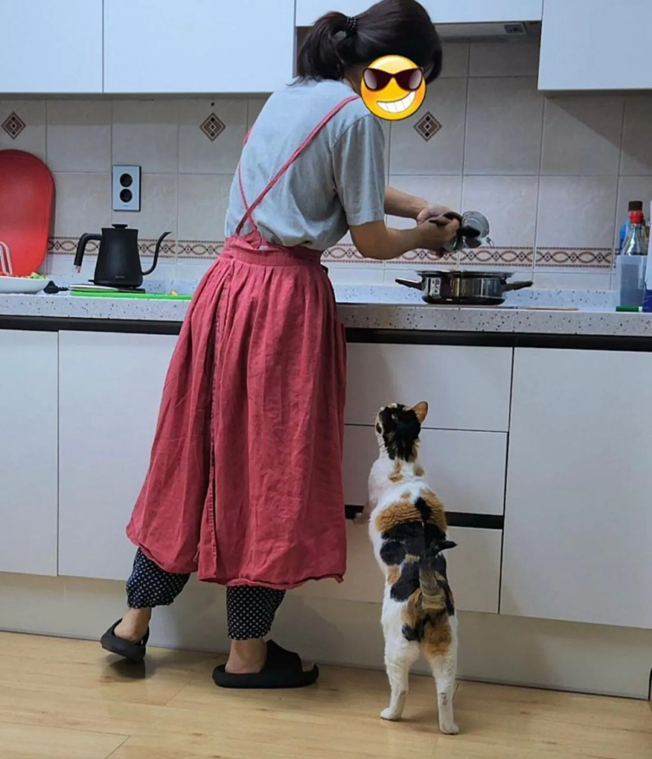 고양이 키우는 집에서 참치 김치찌개 만들면 생기는일