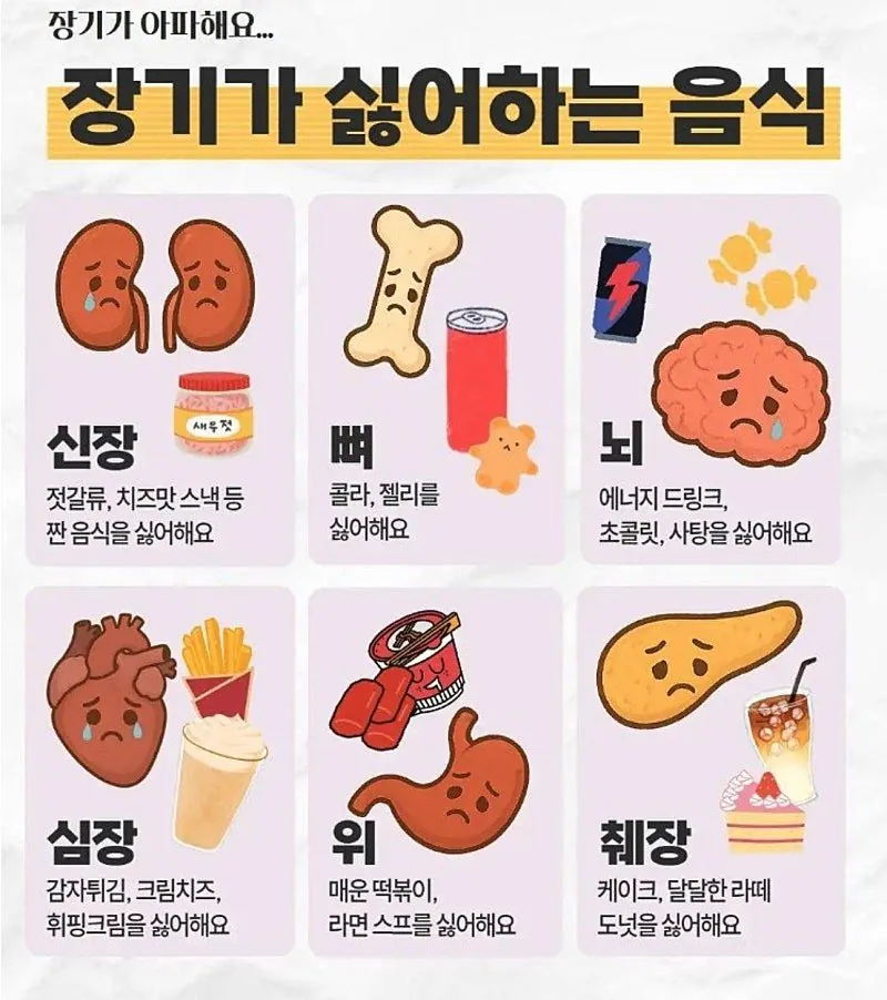 장기가 싫어하는 음식