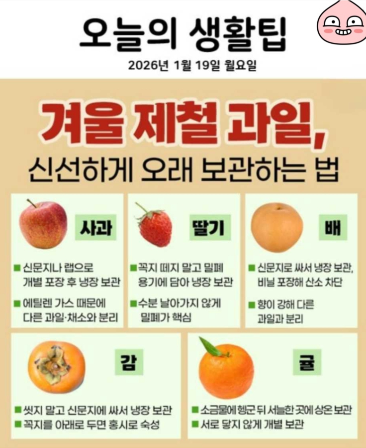 1월19일 오늘의 생활팁