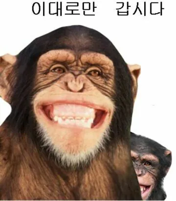 T1유튜브 일 열심히 하니까 그디어 좋아보이네