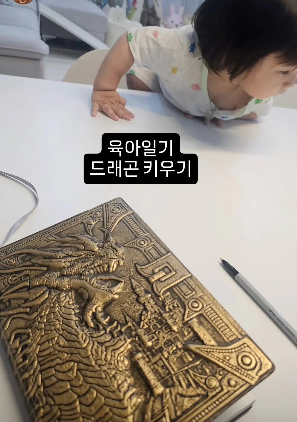 첫째 육아일기를 드래곤 디자인 책으로 쓰는 중