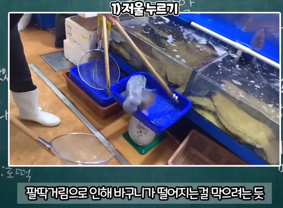 수산시장 사기수법 총정리