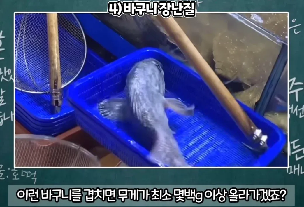 수산시장 사기수법 총정리