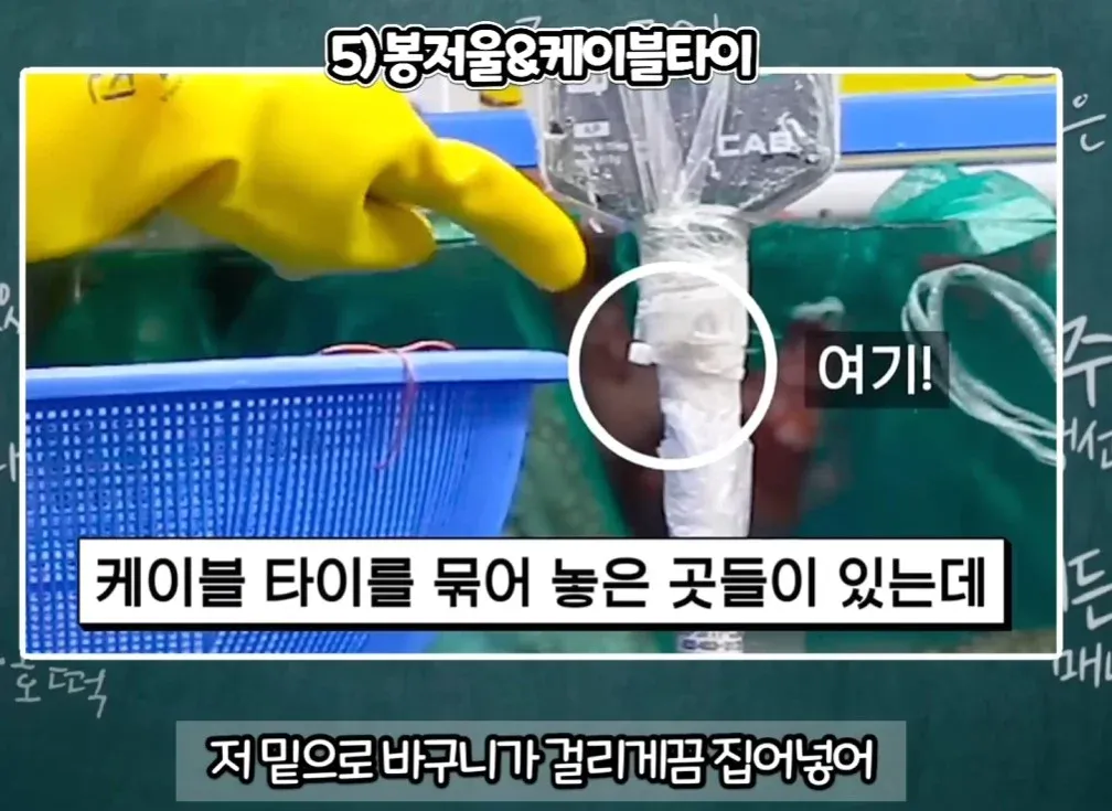 수산시장 사기수법 총정리
