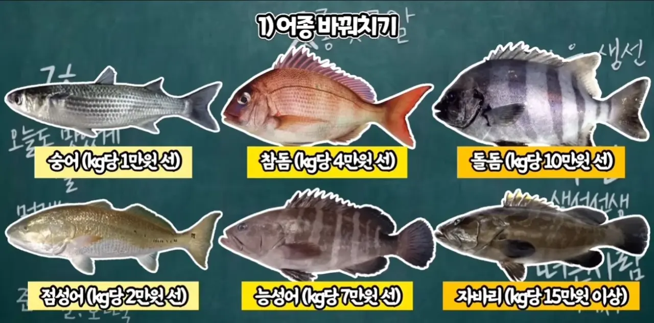 수산시장 사기수법 총정리