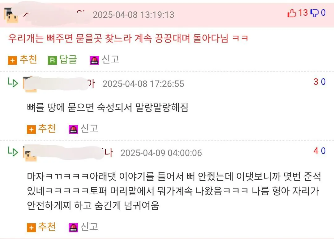 개 키워 본 사람들은 공감하는 것