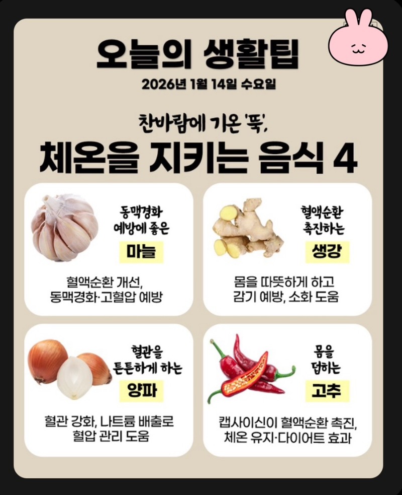 26년 14일 수요일 생활팁