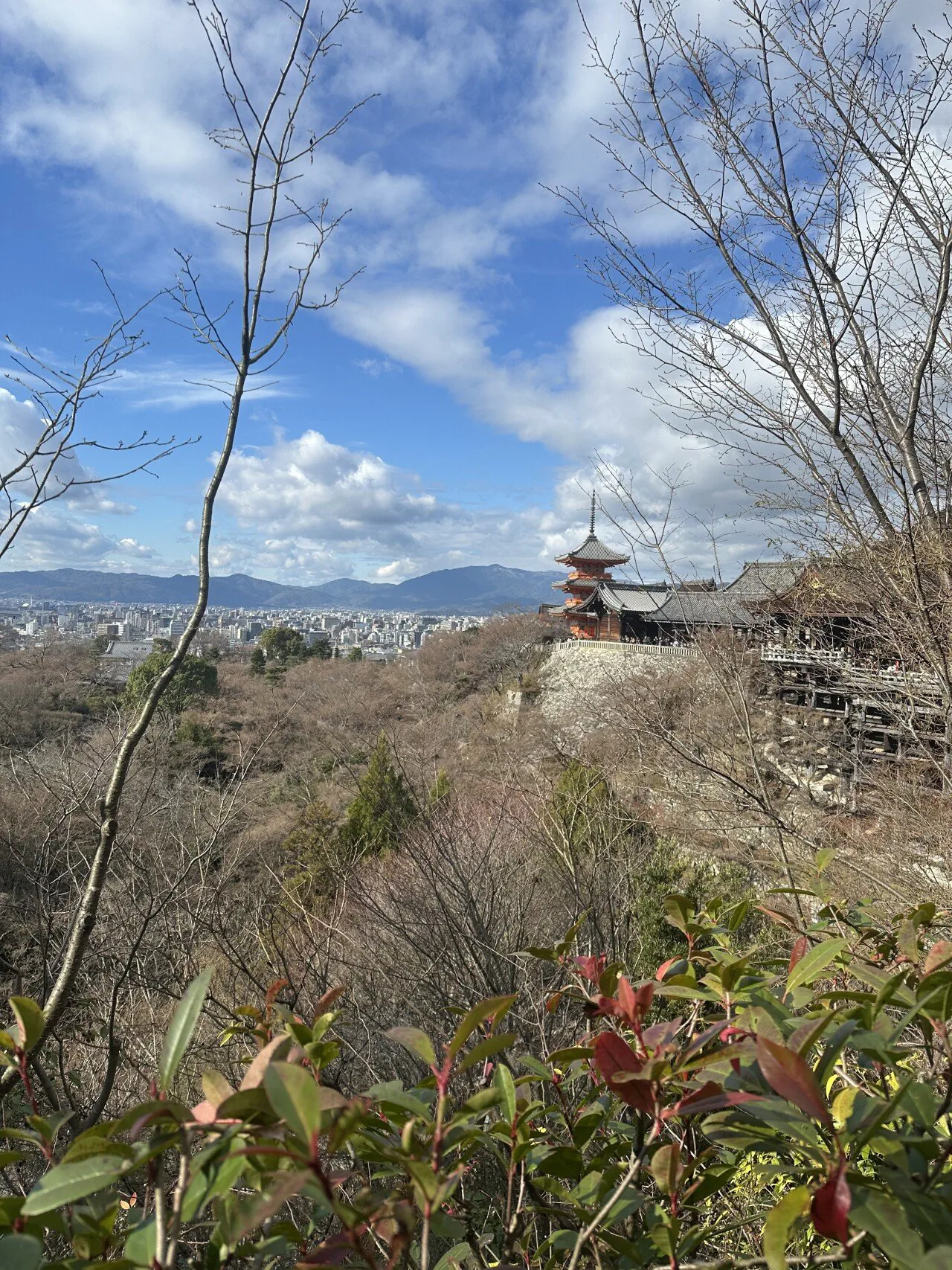 혼자 다녀온 첫 일본여행 짧은 후기