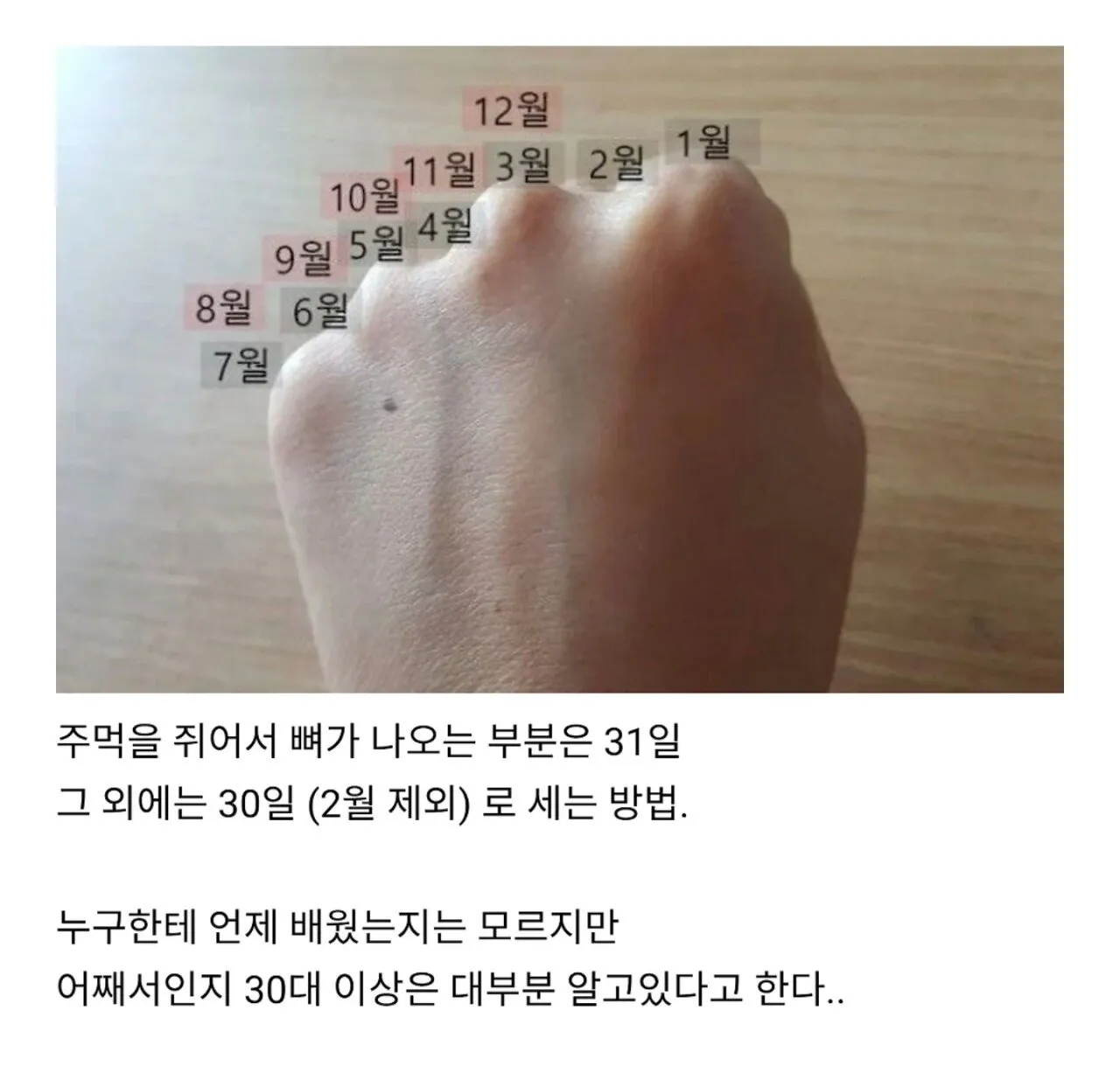 어르신들만 안다는 주먹달력