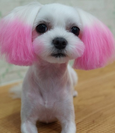 가난한 노인들일수록 싸가지가 존나 없더라