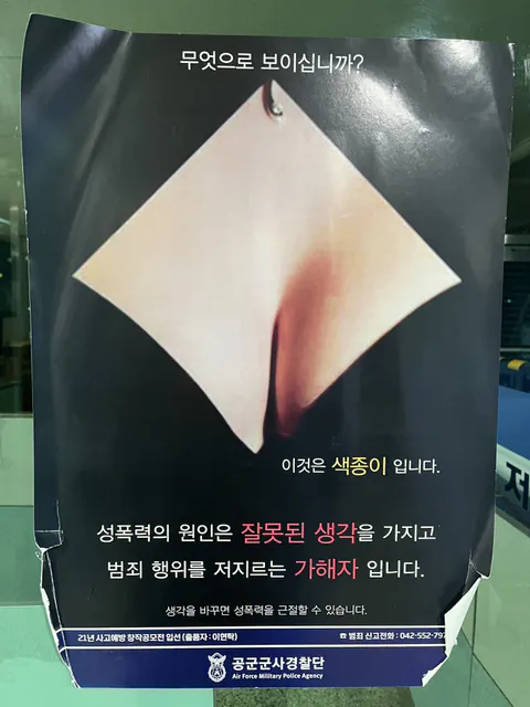 무엇으로 보이십니까 ??