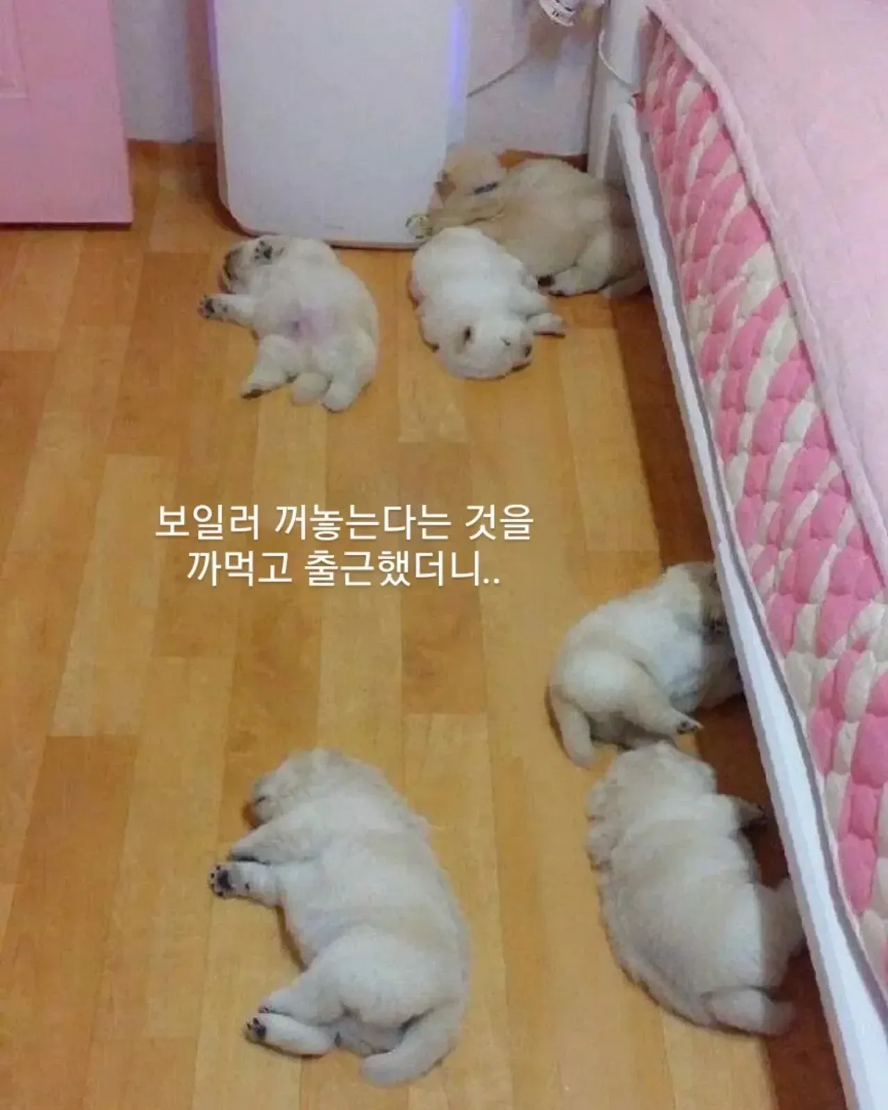 보일러 끈다는걸 까먹고 출근했더니