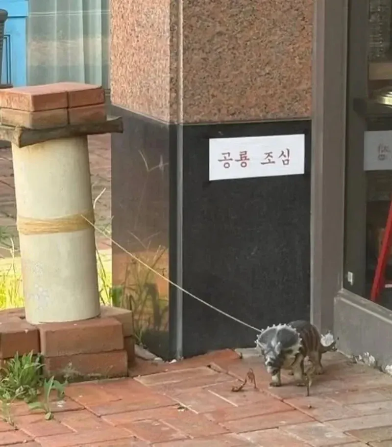 공룡 조심