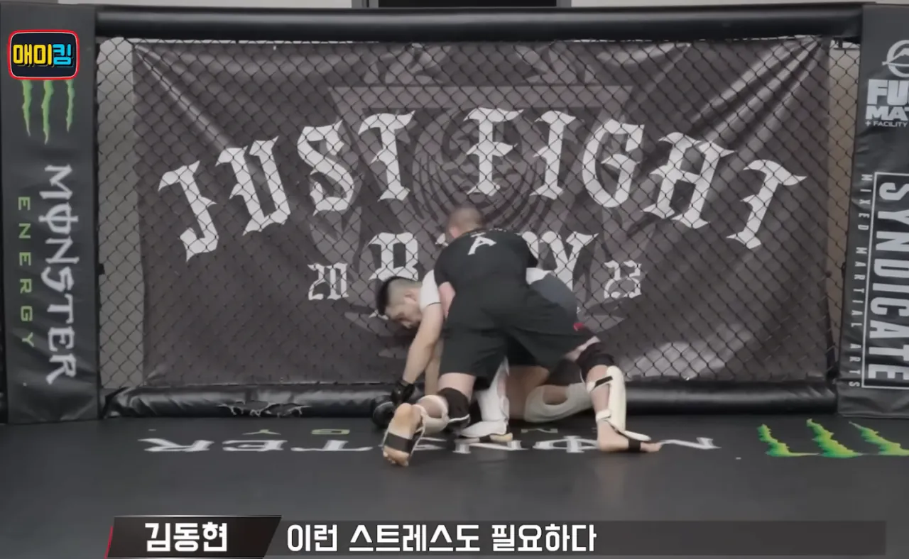 감 존나 시퍼렇게 살아있는 김동현 유튜브 근황