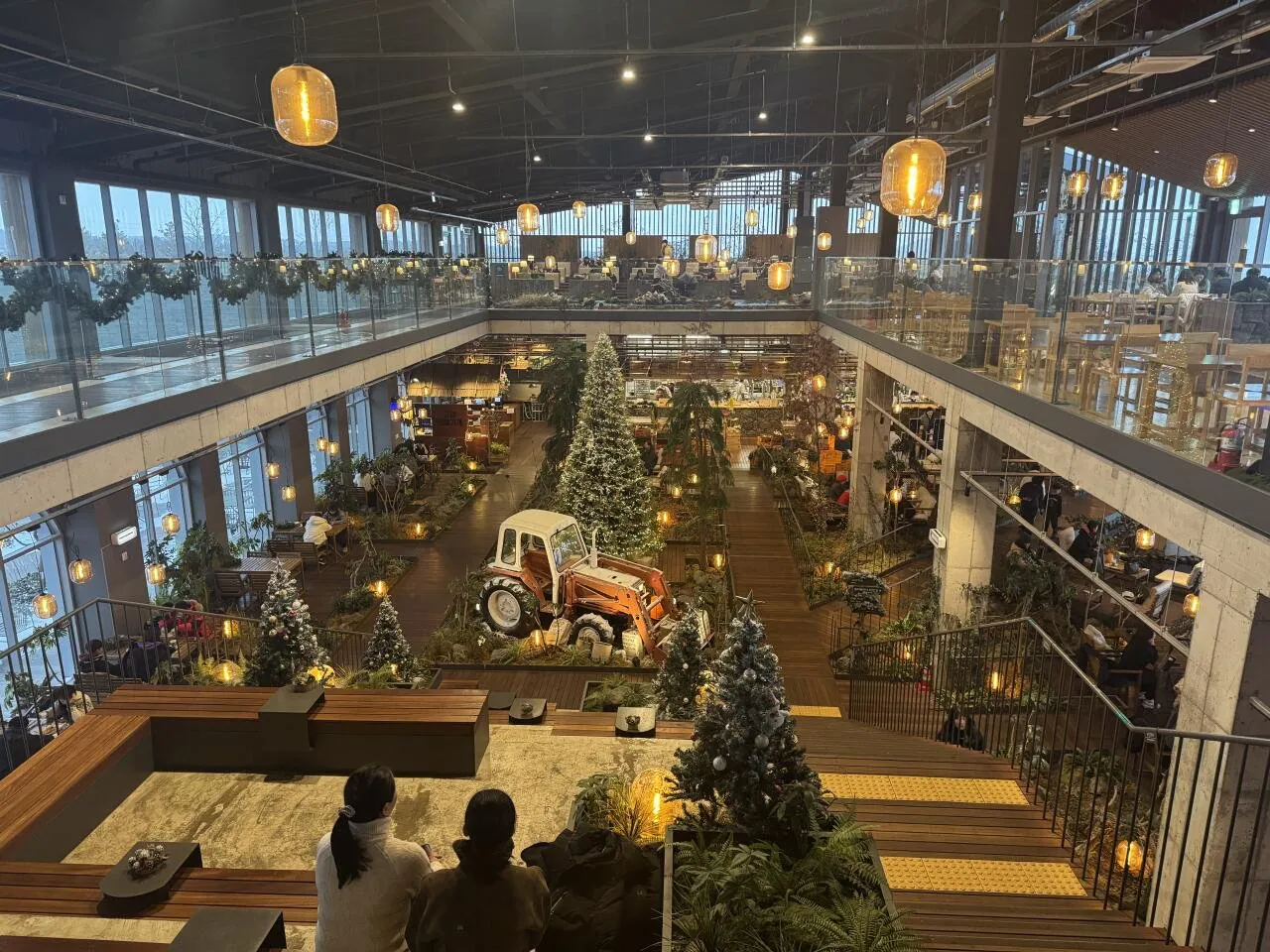 제주도 출장중 찍은 사진