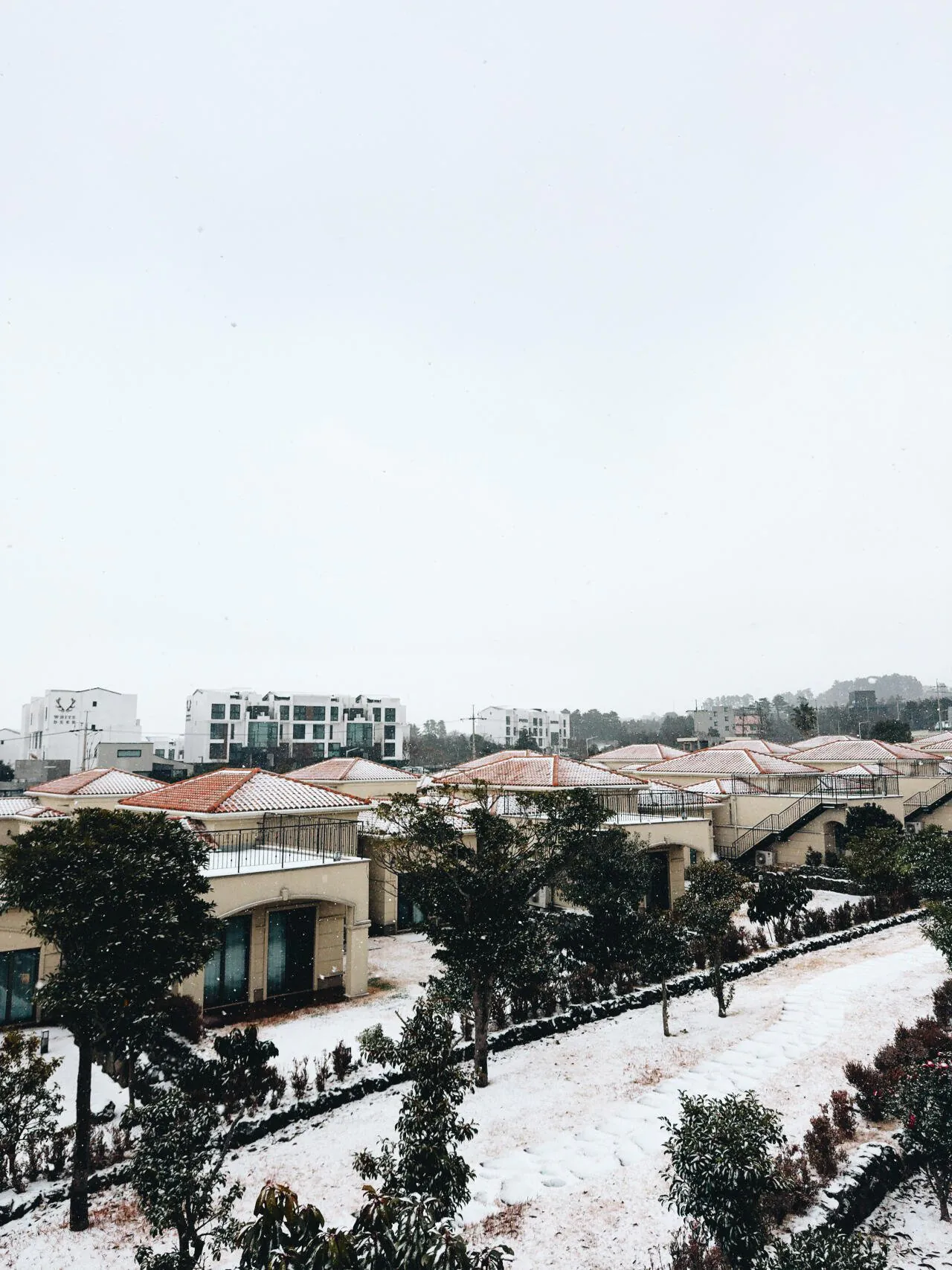 제주도 출장중 찍은 사진