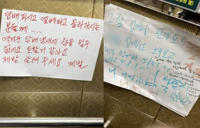 담배 이제 어디서 피워야 함?