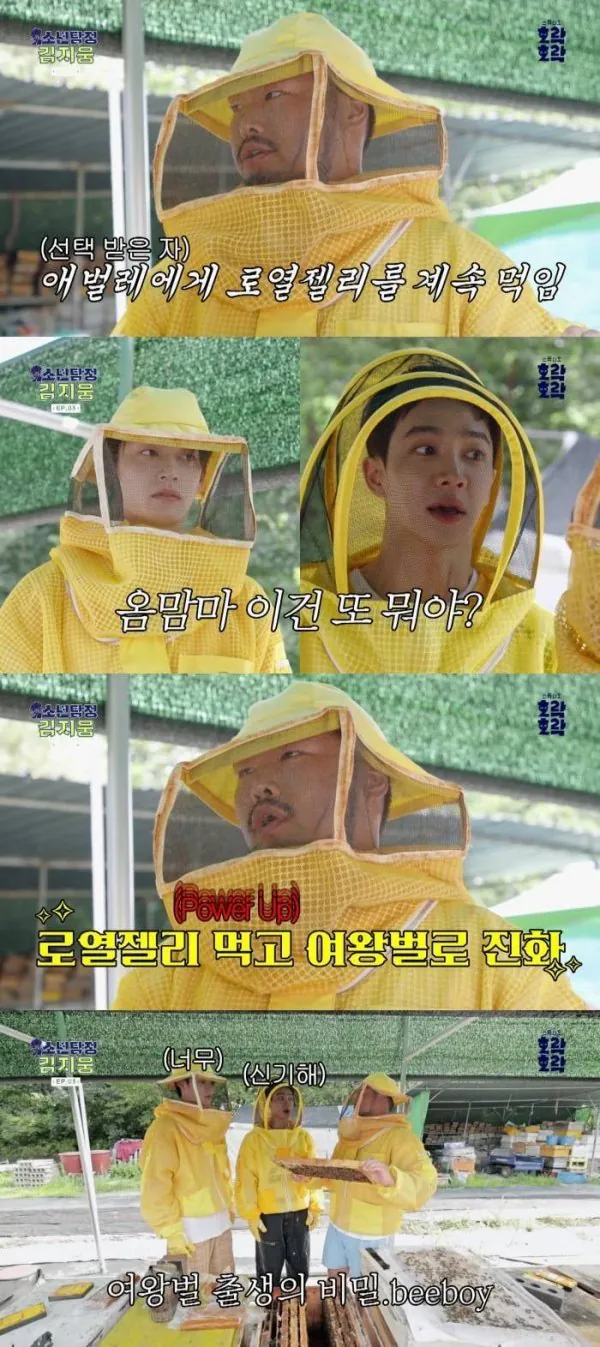알고보면 슬픈 여왕벌의 삶