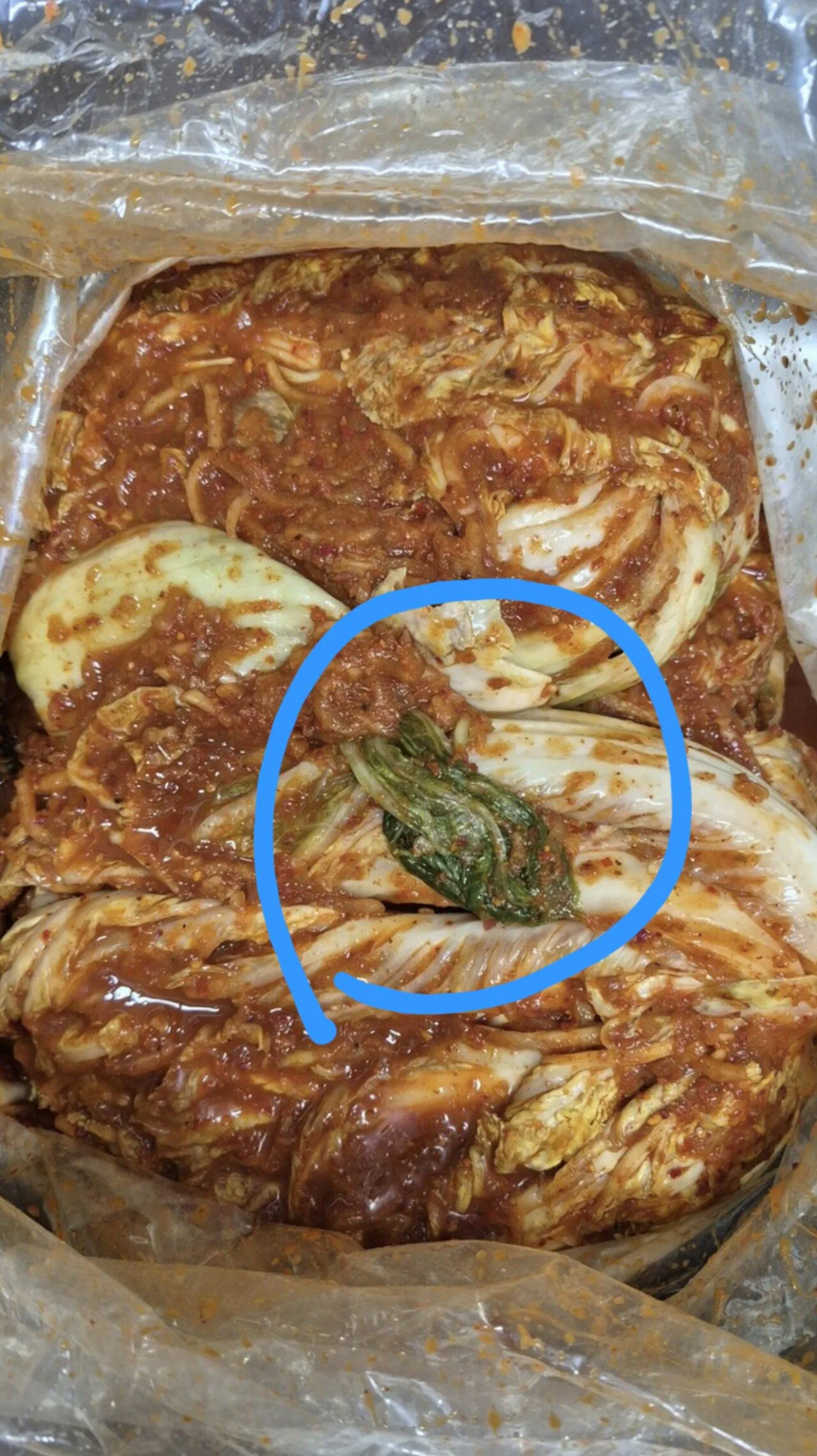 김치에서 호불호가 갈리는 부위