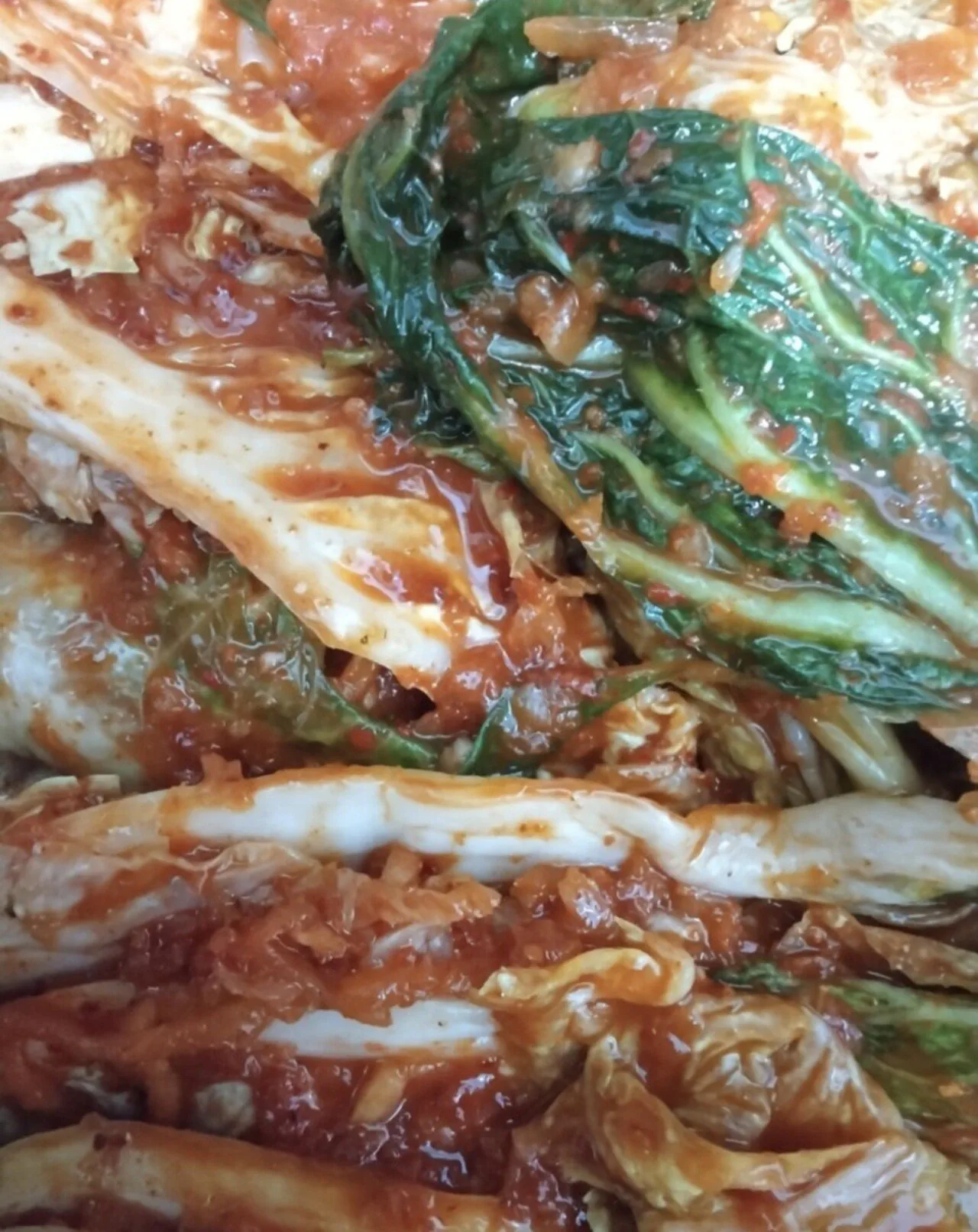 김치에서 호불호가 갈리는 부위