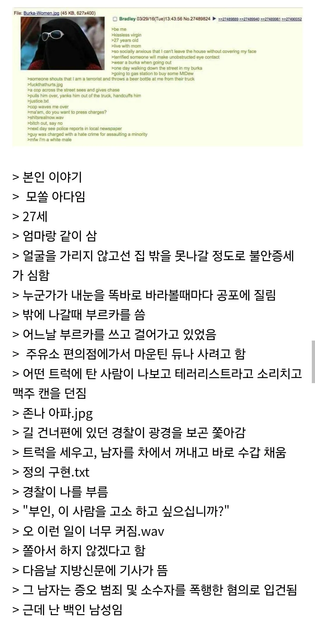 대인기피증 때문에 부르카 쓰고 나가본 사람