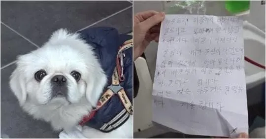 공중화장실에 강아지 유기한 할머니