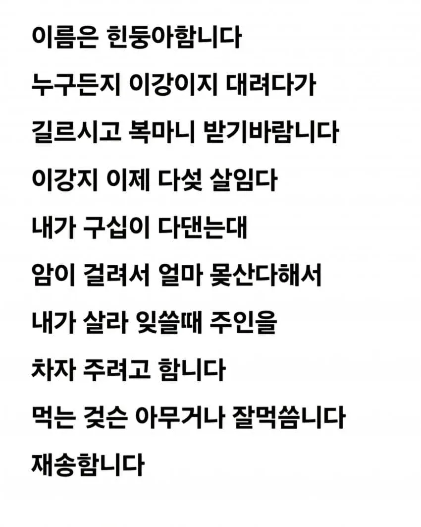 공중화장실에 강아지 유기한 할머니