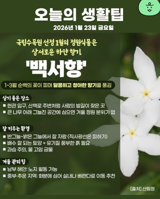 1월 23일 생활꿀팁스.